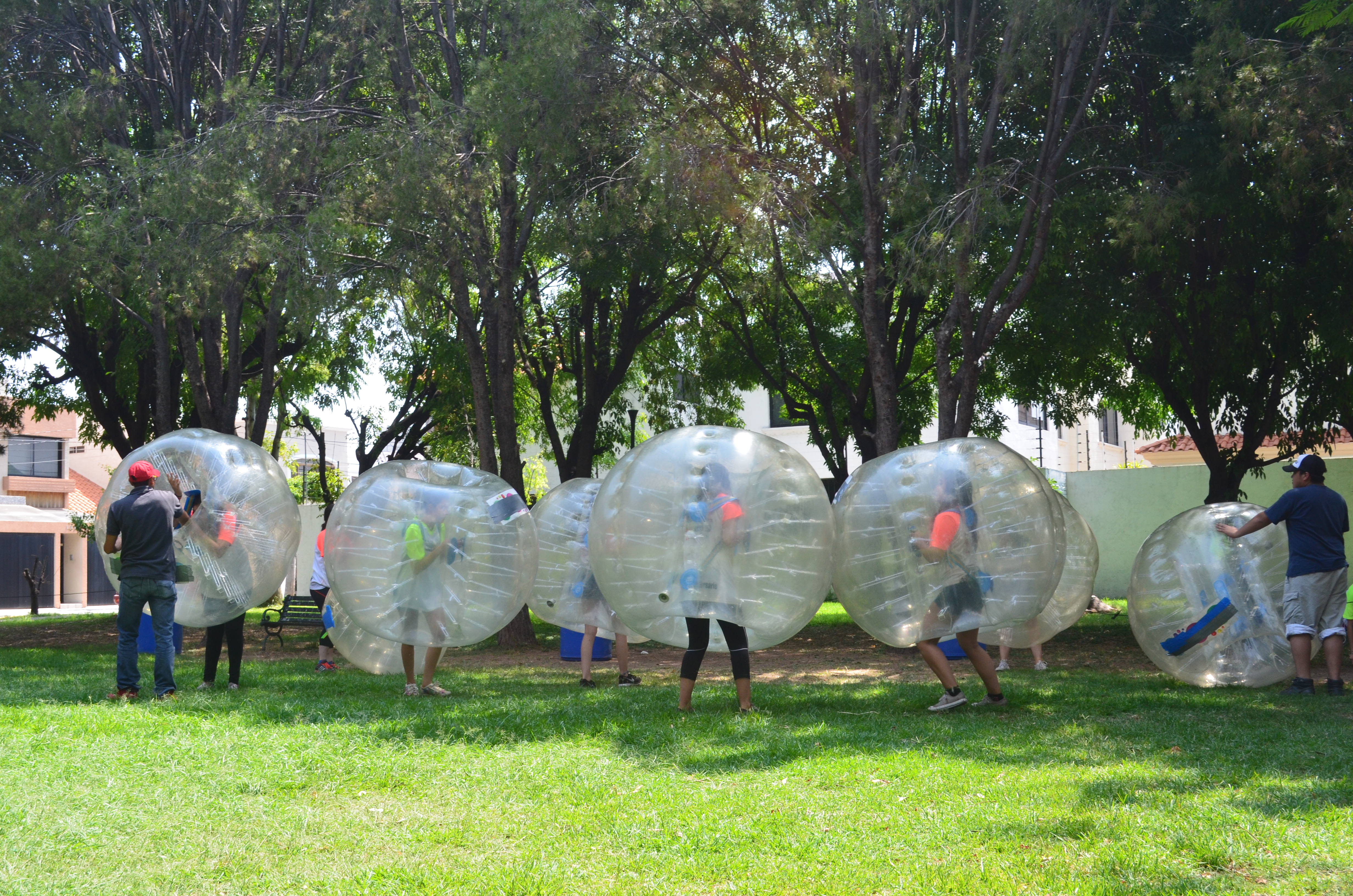 BUMPER BALL.