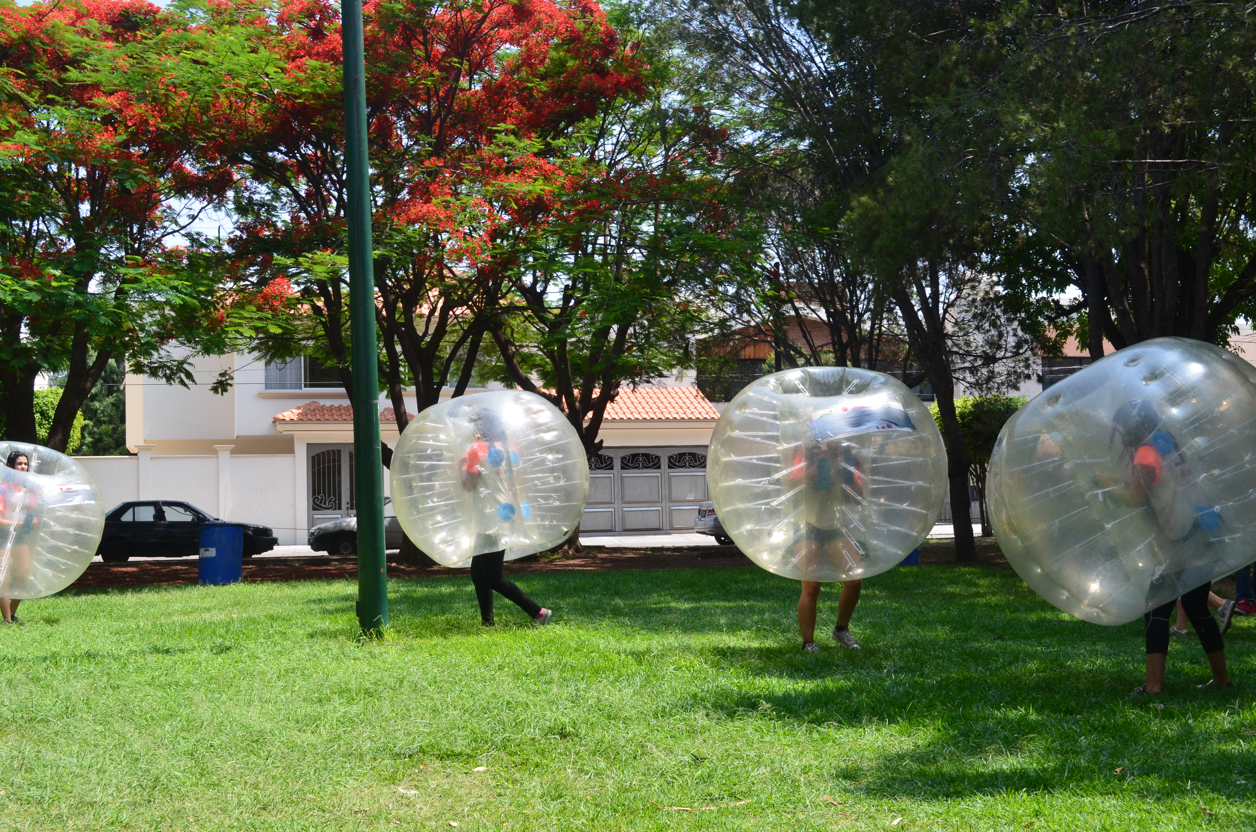 BUMPER BALL.
