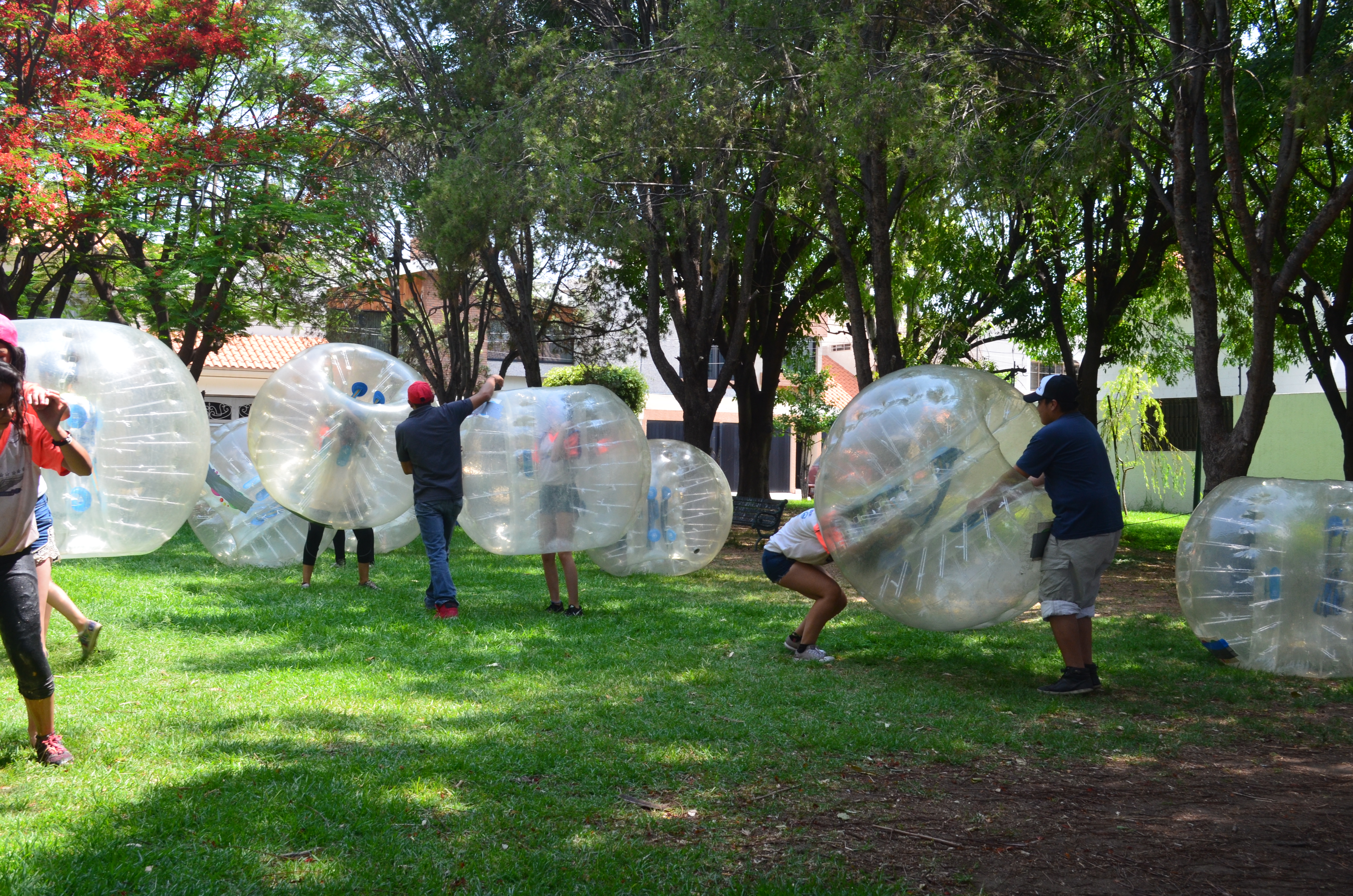 BUMPER BALL.