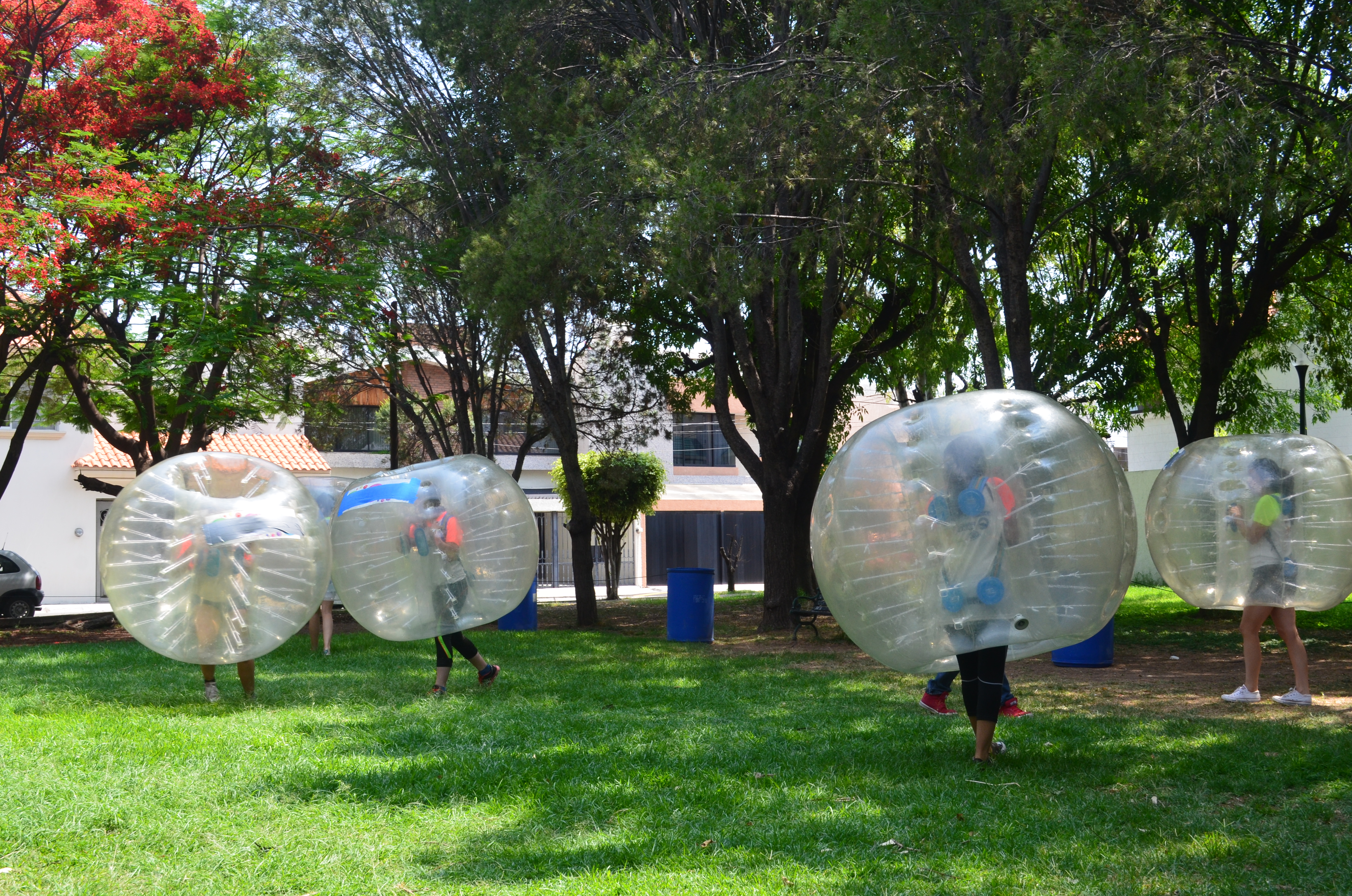 BUMPER BALL.