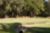 golf-021-3.webp