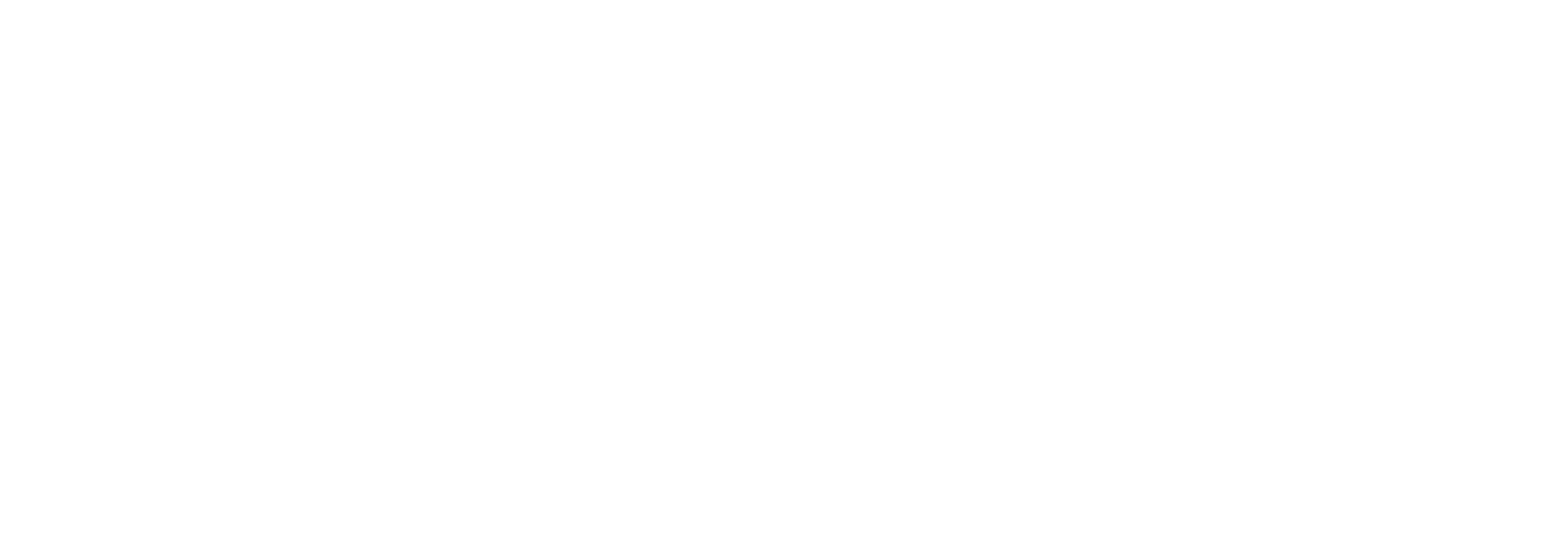 vub_mono_wit_outline.png