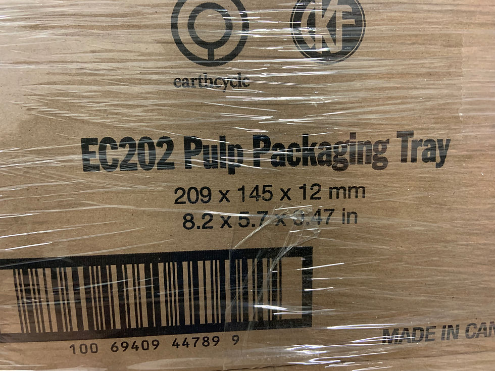 CKF EC 202 Earth Cycle 8.2" X 5.7" X 0.47" Pulp Tray