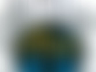 "Der Outsider" von Stephen King #20für20