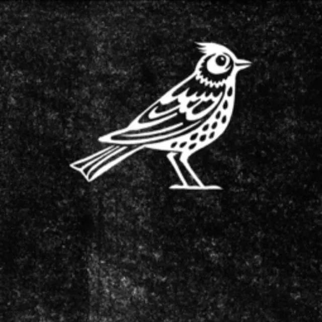 Shortts-1920w.webp