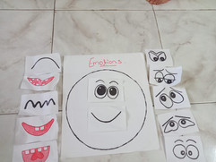 Emotions Activity
