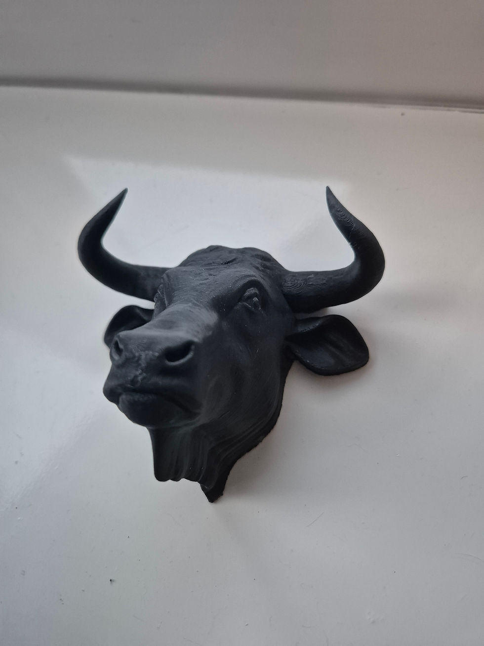 Thumbnail: Buffalo Bust