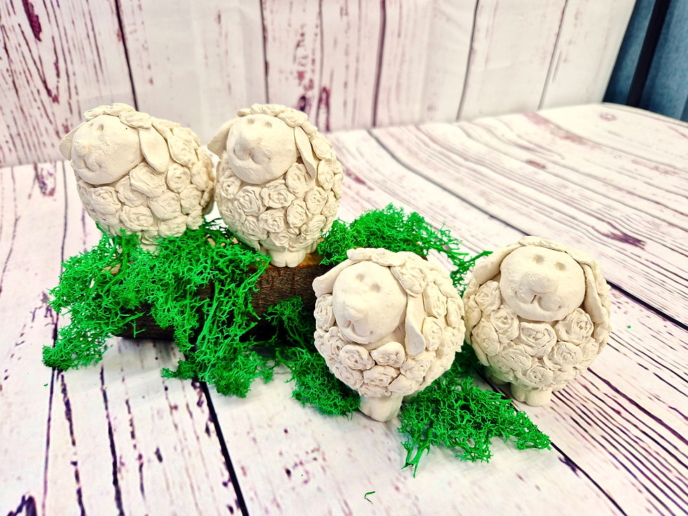 Thumbnail: White Sheep - Little Wonders 