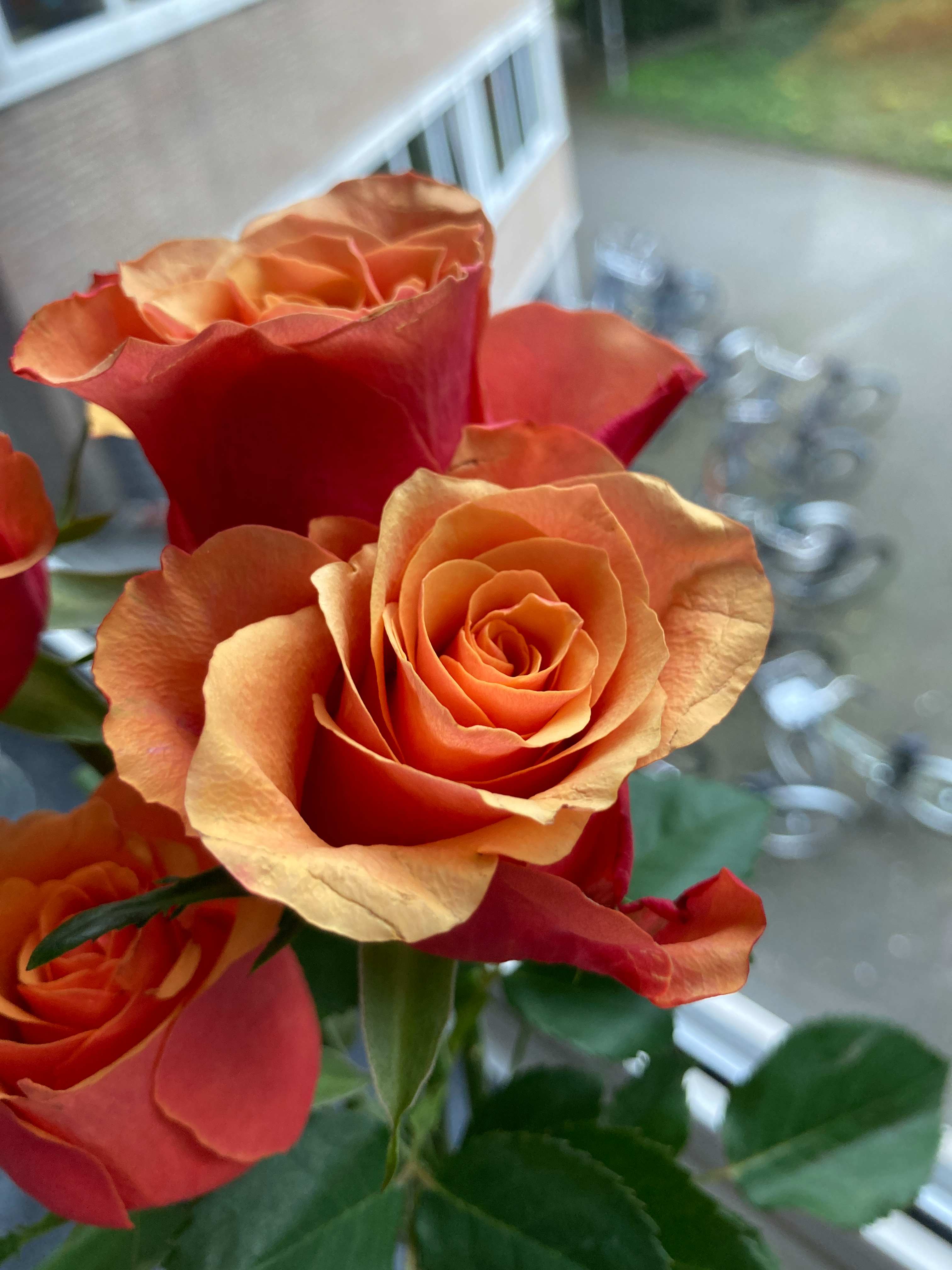 單身的好處，日常與旅行中都能體會，好好幫自己買一束花