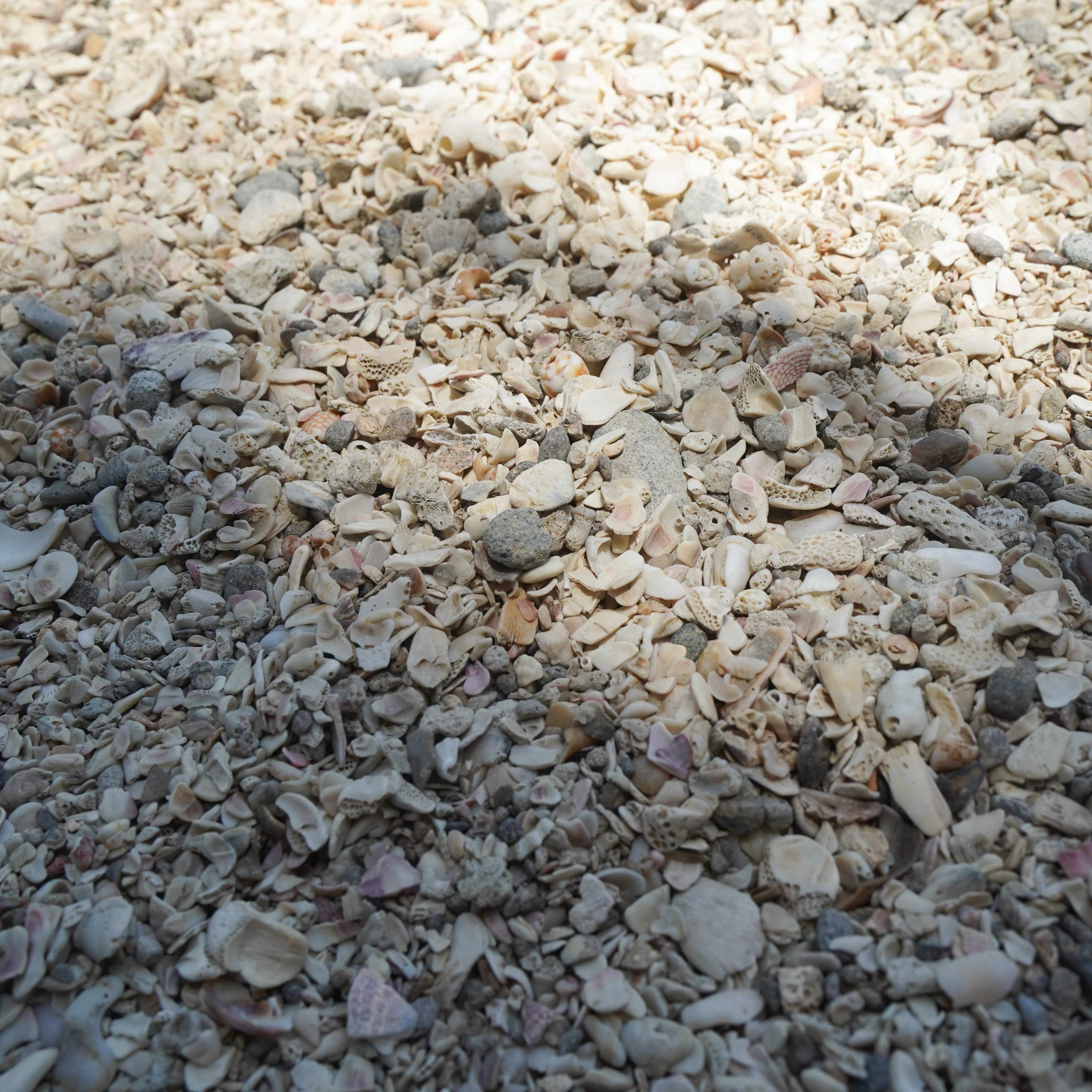 石門洞的貝殼沙