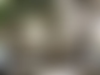 Cortes Apertas Oliena '19