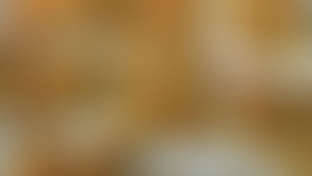 Pane di Verdure -野菜のパン-