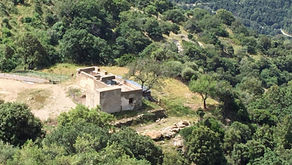 オリアストラ、春のお祭り