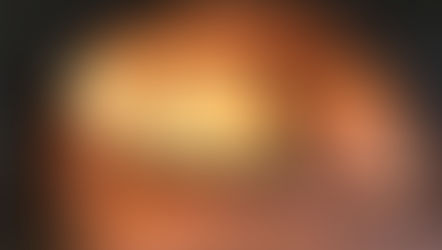 諸聖人の日と死者の日