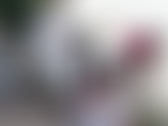 あれやこれや、、、