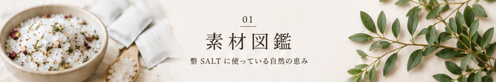 ChatGPT Image 2026年6月22日 15_11_26.png