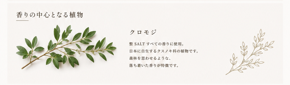 ChatGPT Image 2026年6月22日 15_11_26.png