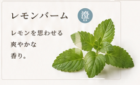 ChatGPT Image 2026年6月22日 15_11_26.png