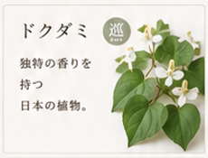 ChatGPT Image 2026年6月22日 15_11_26.png