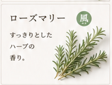 ChatGPT Image 2026年6月22日 15_11_26.png