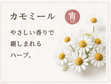 ChatGPT Image 2026年6月22日 15_11_26.png