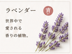 ChatGPT Image 2026年6月22日 15_11_26.png