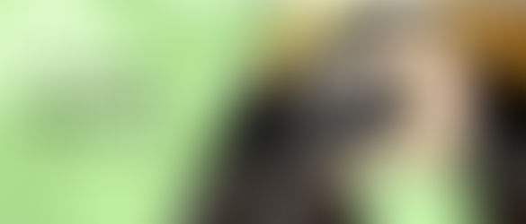 Wanderlust - Final