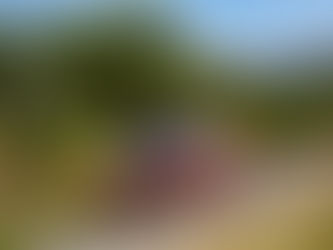 Rallye Autun la Chataigne 2023