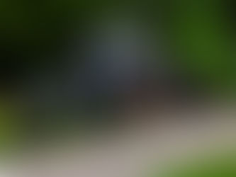 Montée Historique du Ballon d'Alsace 2025