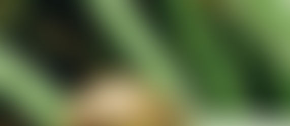 relationships are not efficient