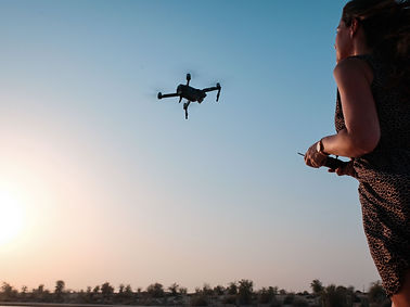 V6 Drone gourmets d'armaillé.jpg