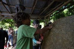 Taller Horno de Barro la Ceiba 2022