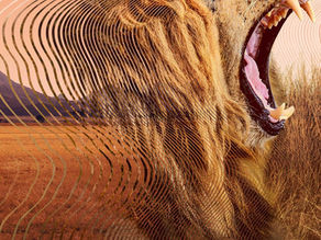 David Attenborough guides you into wildlife’s sonic secrets in Netflix’s Secret World of Sound, curated by Netflixation.