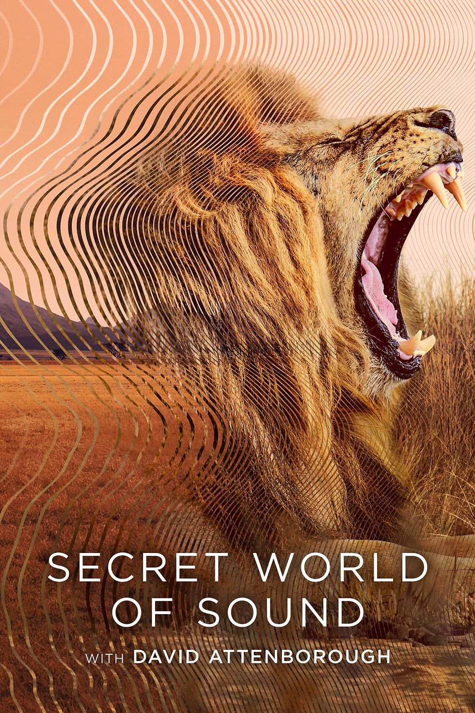 David Attenborough guides you into wildlife’s sonic secrets in Netflix’s Secret World of Sound, curated by Netflixation.
