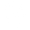 cognition stimulation