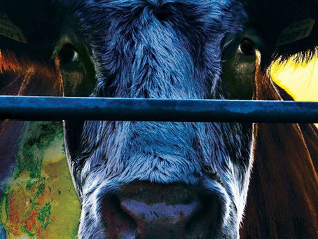 Netflixation guides viewers to Cowspiracy for a bold investigation into profit-driven silence within environmental activism.
