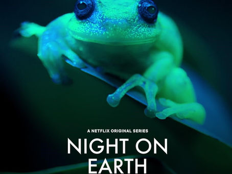 Netflixation’s OTT guide spotlights Night on Earth, blending smart content, inspiring films, and nature documentaries.