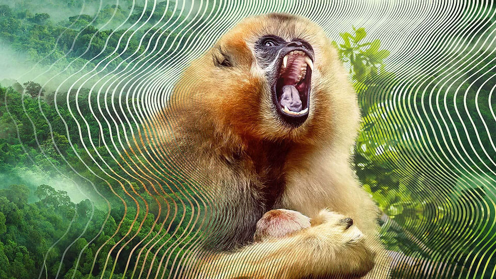 Soundwaves ripple from a howling primate. Netflixation recommends Secret World of Sound’s unseen nature symphony on Netflix.