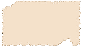 ripped paper vector 4.png