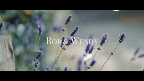 giphy (8).gif