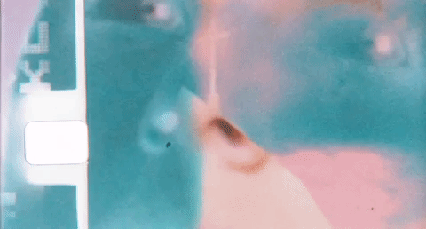 giphy (6).gif