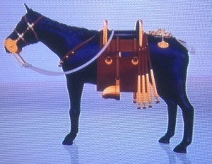 horseoutfittedphoto