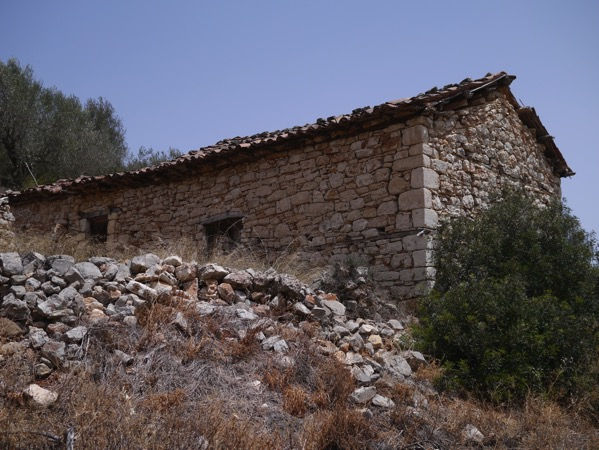 P1150041
