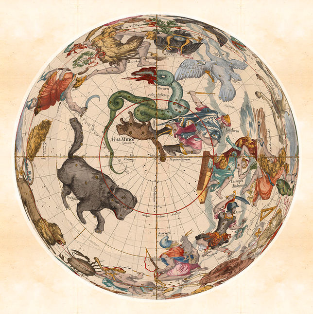Bilderesultat for draco ursa major