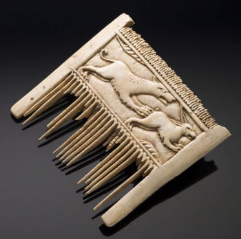 Rare Ivory comb returns to Westphalia for exhibition