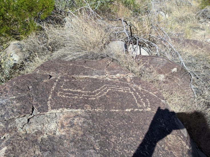 Three Rivers Various Petroglyphs
