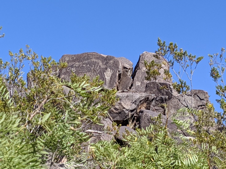 Three Rivers Various Petroglyphs