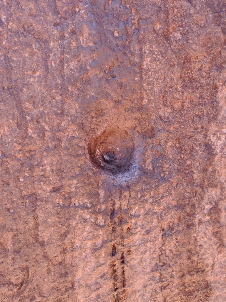 Close-Up of Aramu Muru