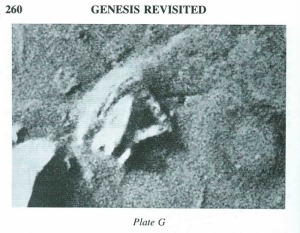 Image: Figure: Plate G