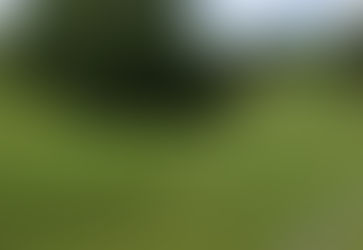 <strong>The Serpent Mound in Ohio and Questions without Answers</strong>